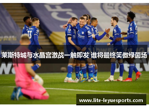 莱斯特城与水晶宫激战一触即发 谁将最终笑傲绿茵场 莱斯特城与水晶宫激战一触即发 谁将最终笑傲绿茵场