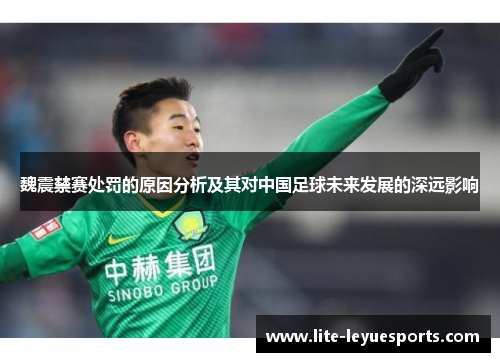 魏震禁赛处罚的原因分析及其对中国足球未来发展的深远影响